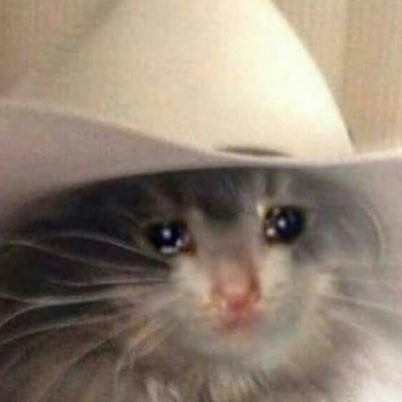 Meet your Posher, Emily - Picture 1 of 1